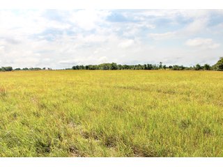 Property photo 5 - LAND AUCTION - 1,593+/- ACRES OFFERED IN 21 TRACTS IN OKMULGEE CO., OK